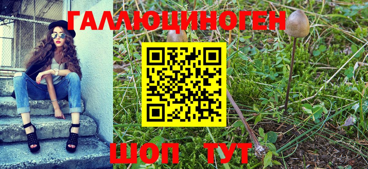 Аксай  Галлюциногенные грибы прущие грибы  Вход с VPN 